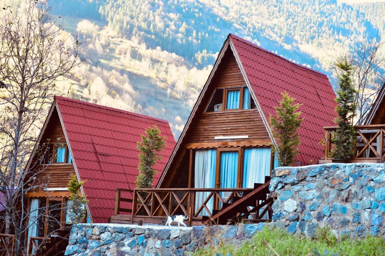 The Wooden House Uzungoel אוזונגול מראה חיצוני תמונה